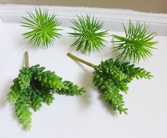 Set of 5 Artificial Grass Mini Pine Tree And Yacon Succulents Plants