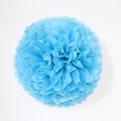 2x DIY Tissue Paper Pom Poms Flowers Birthday Wedding Party Backdrop Home Decor