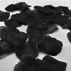 1000 Pcs Exquisite Black Rose Petals, Emulation Silk Rose Petals, Artificial Flo