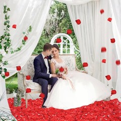 Fade-Resistant 3000 PCS Dark Red Silk Rose Petals for Stylish Event Decorations