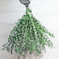 3kinds Natural Eucalyptus Stems 36PCS – 17inch Eucalyptus Set for 36PCS-17INCH
