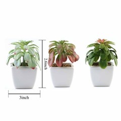 Set of 3 5″ tall Assorted Faux Echeveria Succulent Plants with Off White Pots