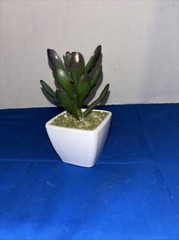 Mini Plant With Pot 5” Tall Artificial desert Grass Restaurant Office Decor