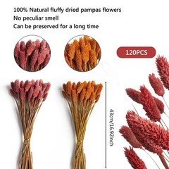 120pcs Fall Burnt Orange Bunny Tails Dried Flowers,17″
