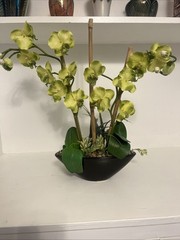 Huge Orchid Flower Display 17in Green Artificial Silk Flowers in Black Pot Faux