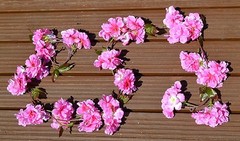flower garland. 6foot in ivory or pink. wedding decorationflower garland