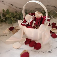 Burgundy Flower Girl Petals Beige Boho Wedding Ceremony Decor Proposal We Do