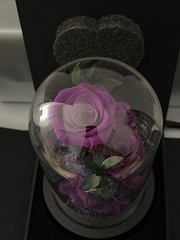 DENIMOMO Flowers Roses Gifts for Women Her,Forever H7.8in W4.7in, Purple Rose