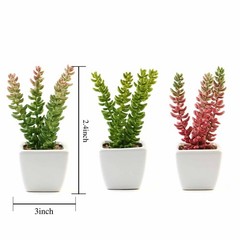 Set of 3 8″ tall Assorted Faux Cute Sedum Succulent Plants with Off White Pots