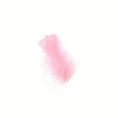 Pink Turkey T-Base Plumage Feathers Bridal Corsage Bouquet Decor DIY 20 Pc