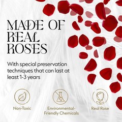 GLAMOUR BOUTIQUE Flowers Forever Gift Box, 12 Real Preserved Roses in 12, Red
