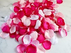 Hot Pink Rose Petals Barbiecore Wedding Decor Will You Marry Me Petal Patrol Box