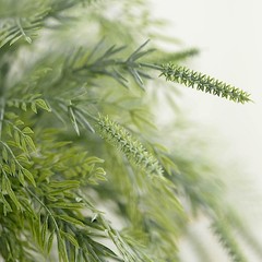 2 FROSTED GREEN 15″ Faux Sagebrush ARTIFICIAL LEAVES Greenery Stems Party Events