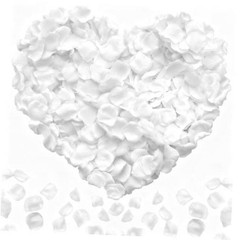 2200PCS Artificial Flower Petals Engagement Party Decorations 2000PCS White