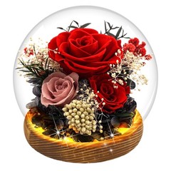 Red Rose Mothers Day Gifts for Mom Forever Flowers D3-