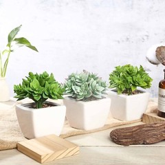 3 Off White Ceramic Pots 4″ Green Faux Crassula Succulent Plants Wedding Favors