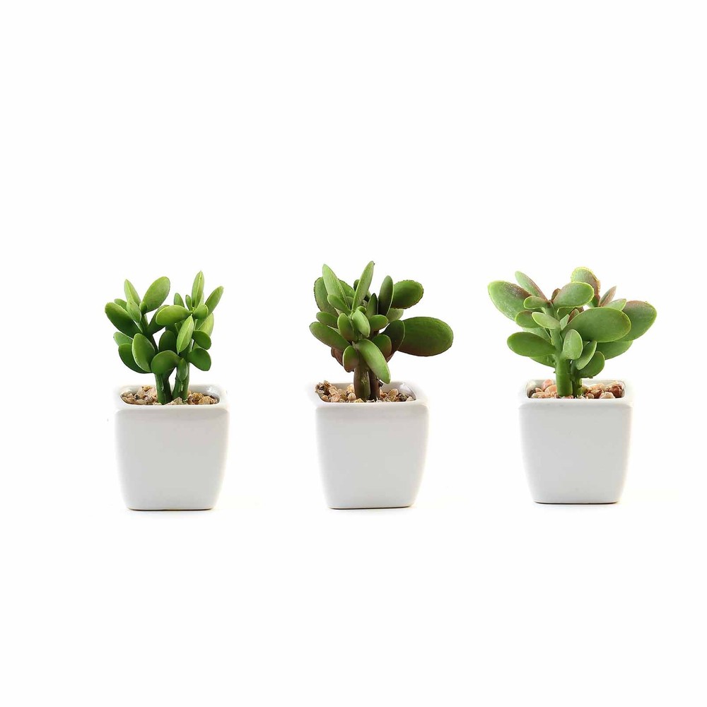 Set of 3 3″ tall Green Mini Faux Succulent Plants with Off White Ceramic Pots