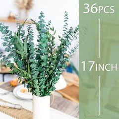 3kinds Natural Eucalyptus Stems 36PCS – 17inch Eucalyptus Set for 36PCS-17INCH