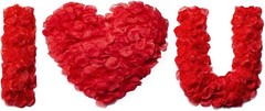 “1200 piezas de pétalos de rosa de seda artificiales para decorar una noche romá