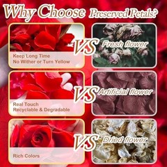 300+ Dried Red Rose Petals – Wedding Confetti, Party Decor, Romantic Proposals (