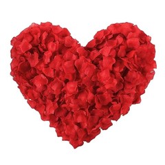 Valentines Day Red Rose Petals Pack of 120 Table Decoration