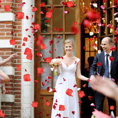 1500 PCS Red Rose Petals Flower Artificial Fake Silk Rose Petals Decorations for