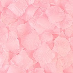 1000 Pieces Light Pink Artificial Silk Rose Petals Flower Decoration Wedding …