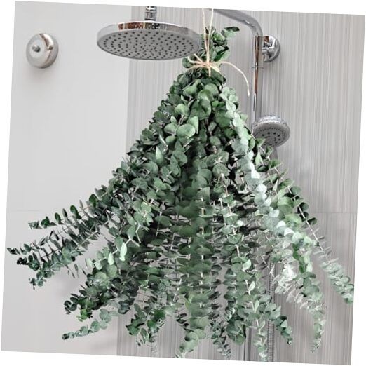 24 Pcs Dried Eucalyptus for Shower Hanging – 17” Real Large Preserved 24 PCS