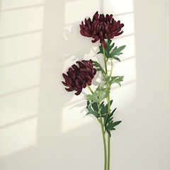 3 Stems 27″ Long Artificial Chrysanthemum SILK FLOWERS Party Events Decorations