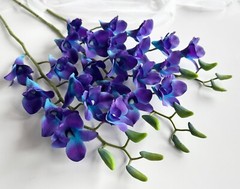 3 x LATEX TOUCH SINGAPORE BLUE PURPLE ORCHID DENDROBIUM ORCHIDS FLOWER FLOWERS