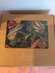 Ling’s Moment Artificial Flowers Teal and Orange for decorating 25 pieces.