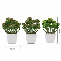 3 Green 7″ Off White Ceramic Pots Assorted Cute Faux Succulent Plants Office