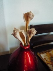 3 Seashell Bouquet Picks Beach Wedding Flower Inserts Floral Bouquet home decor