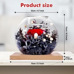 NERCHVO Valentines Birthday Gifts for Women Preserved Roses in Glass Dome Red