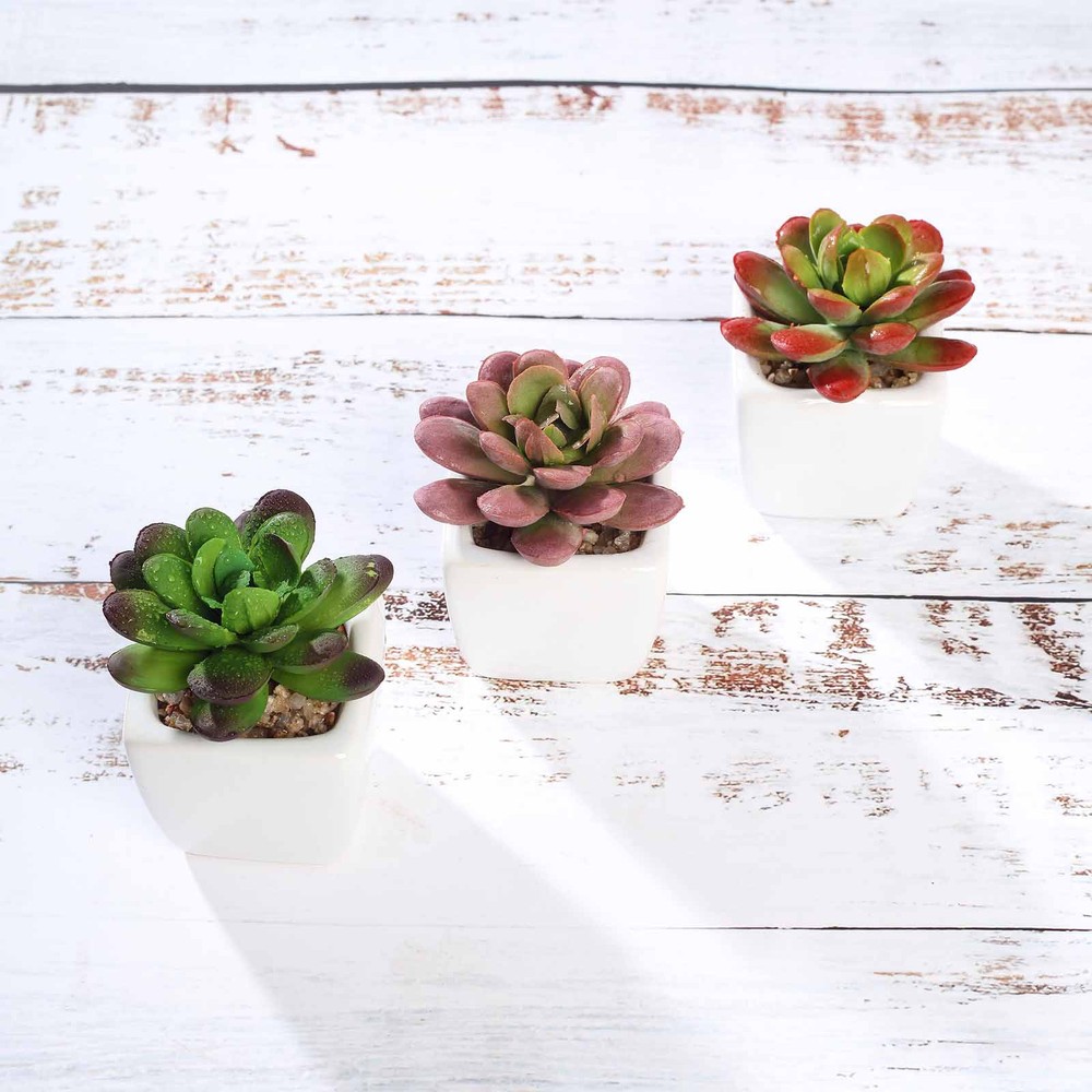 3 Green 3″ Off White Ceramic Pots Assorted Faux Mini Succulent Plants Home Gift