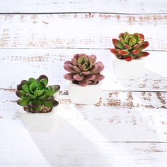 3 Green 3″ Off White Ceramic Pots Assorted Faux Mini Succulent Plants Home Gift