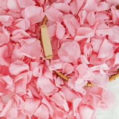 Dried Real White Rose Petals Freeze Preserved Flower Petals 1.75oz Valentine’s