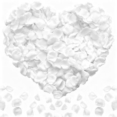 2200PCS Artificial Flower Petals Engagement Party Decorations 2000PCS White