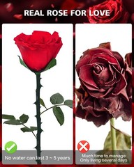 Preserved Flowers Gifts for Women: Valentines Day Mothers Day Birthday Chri