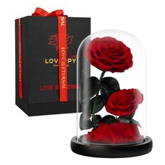 LOVAPPY Eternal Flower in a Glass Dome: Preserved Rose – Large, Red-double