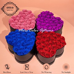 27 Preserved Roses in Heart-Shaped Box, Flowers for 27 Roses, Red