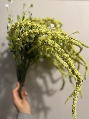 Yellow Amaranthus Caudatus – Floral Arrangement