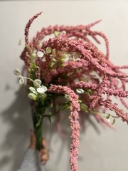 Pink Amaranthus Caudatus – Floral Arrangements