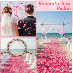 1000 PCS Fake Rose Petals, Artificial Rose Petals for Wedding, Romantic Night, V