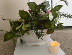 🌸MIXED‑MEDIA SPRING FLORAL DISPLAY • PAPER BLOOMS • FERN GREENERY • BUTTERFLY