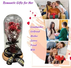 SINT Preserved Rose Gifts for Women, Forever Real in Deep Red Bouquet