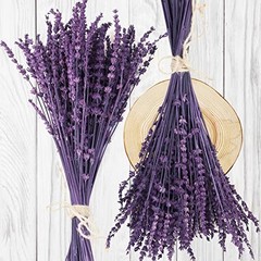 Dried Preserved Lavender Flowers Bundle-Natural Dried Lavender Purple-2.82oz