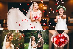 1000 Wedding Silk Rose Petals Sage, Petals & Garlands, Rose Petals