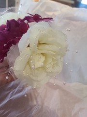 Quinceañera/Wedding Hair Clip Accessory Burgundy/Cream With Pearls And Netting
