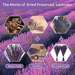 Dried Preserved Lavender Flowers Bundle-Natural Dried Lavender Purple-2.82oz